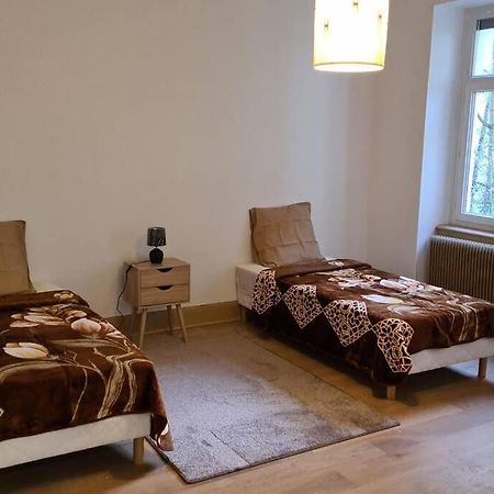 Grand 4P Strasbourg Orangerie 7 Personnes Proche D Allemagne Dış mekan fotoğraf