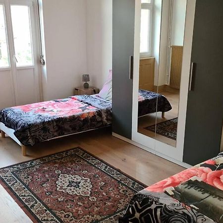 Grand 4P Strasbourg Orangerie 7 Personnes Proche D Allemagne Dış mekan fotoğraf