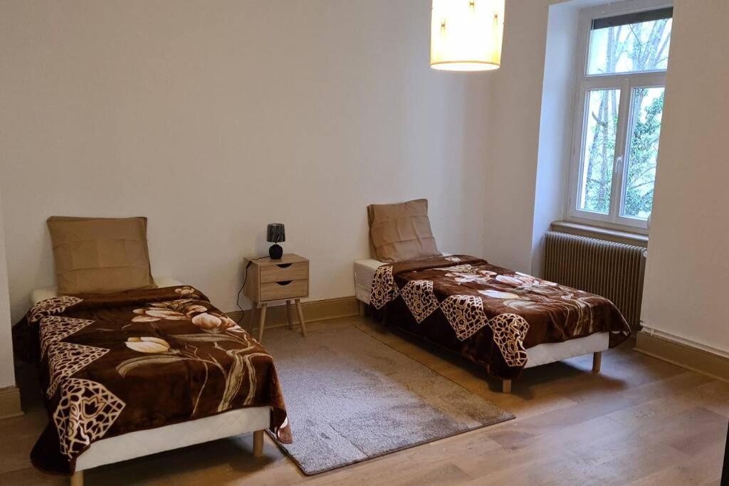 Grand 4P Strasbourg Orangerie 7 Personnes Proche D Allemagne Dış mekan fotoğraf