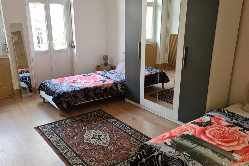 Grand 4P Strasbourg Orangerie 7 Personnes Proche D Allemagne Dış mekan fotoğraf